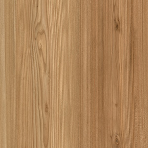 ELM